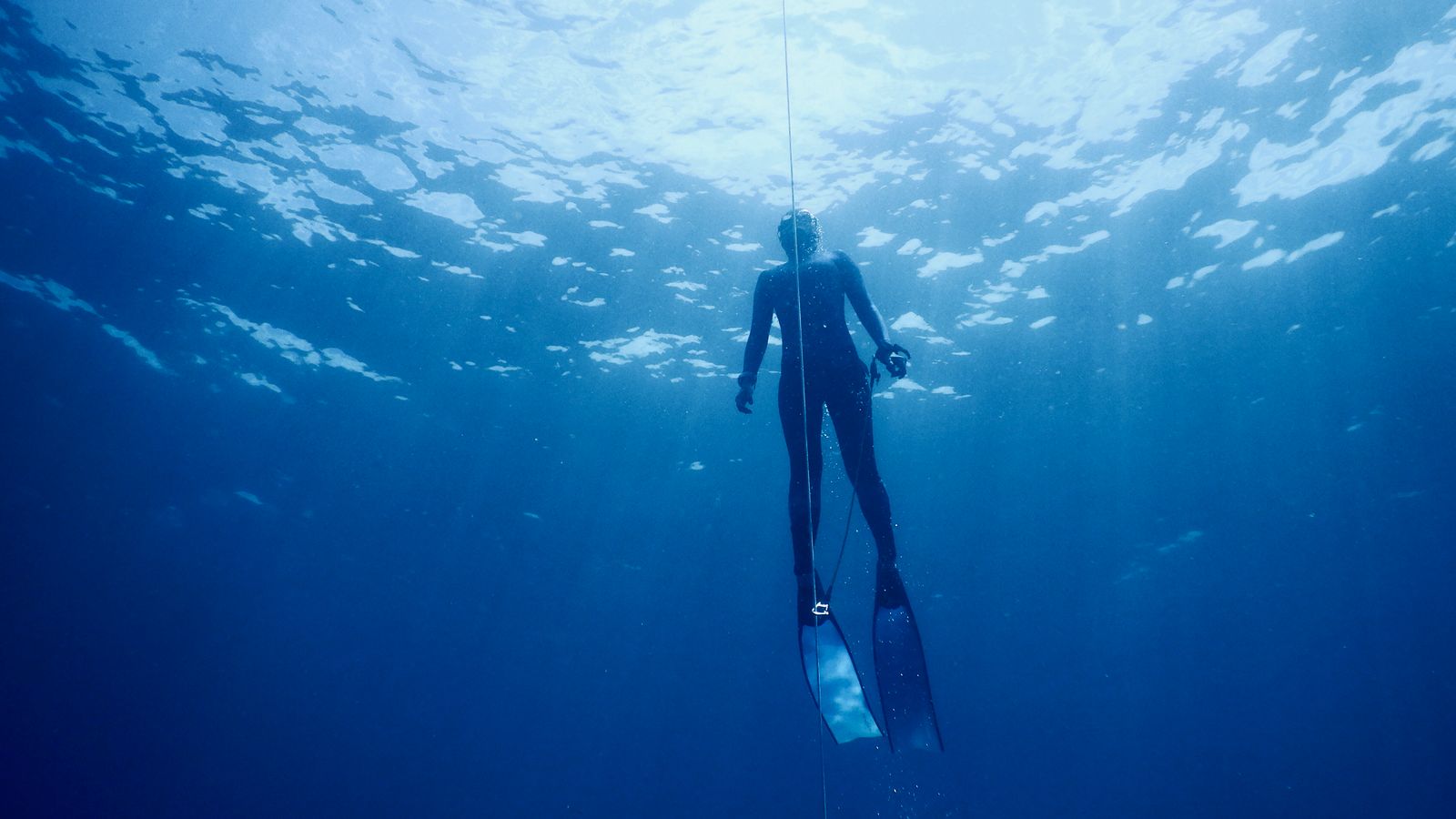 Freediver in a black wetsuit descending beside a dive line